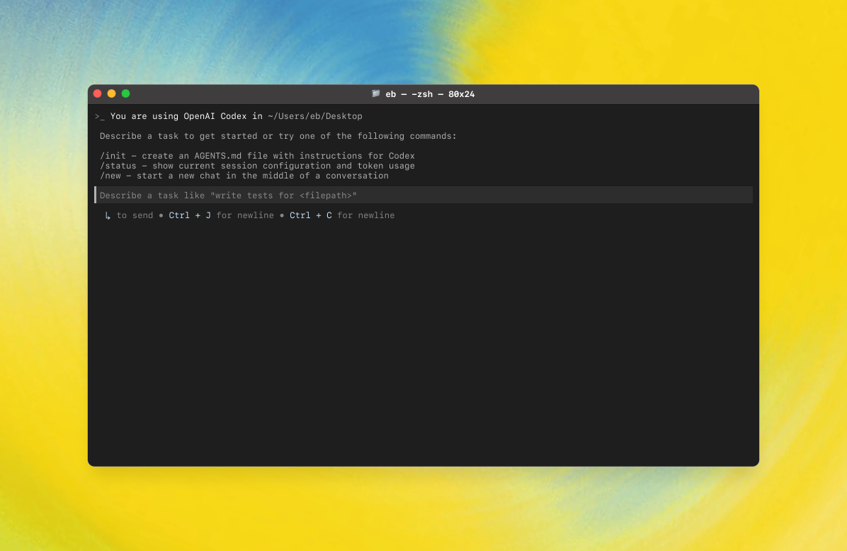 Codex CLI splash